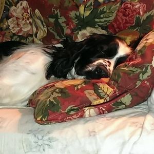 Meet your Posher, Celeste